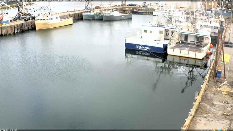 Marginal Wharf North