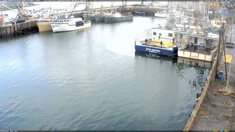 Marginal Wharf North