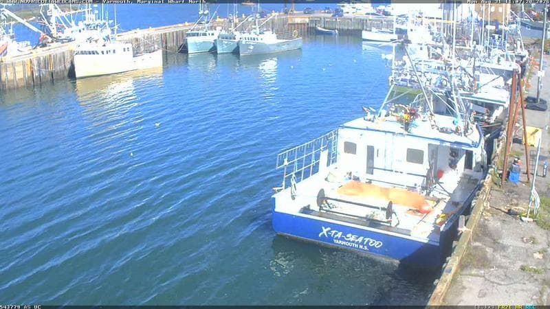 Marginal Wharf North