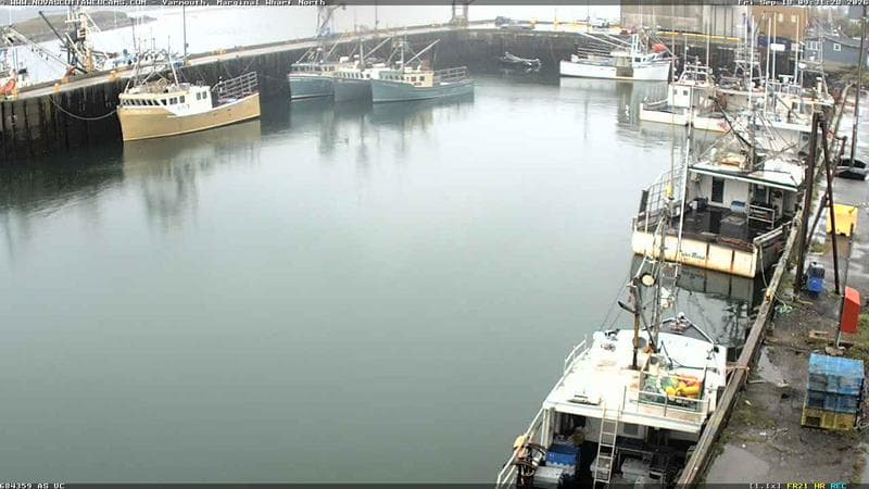 Marginal Wharf North
