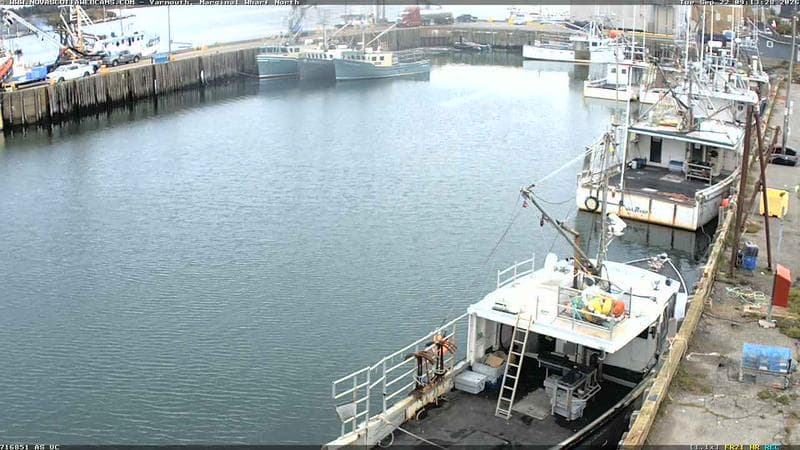 Marginal Wharf North