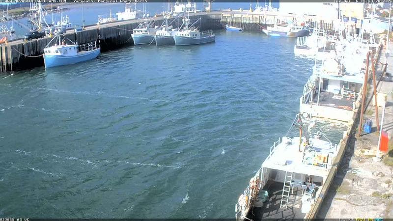 Marginal Wharf North