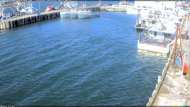 Marginal Wharf North