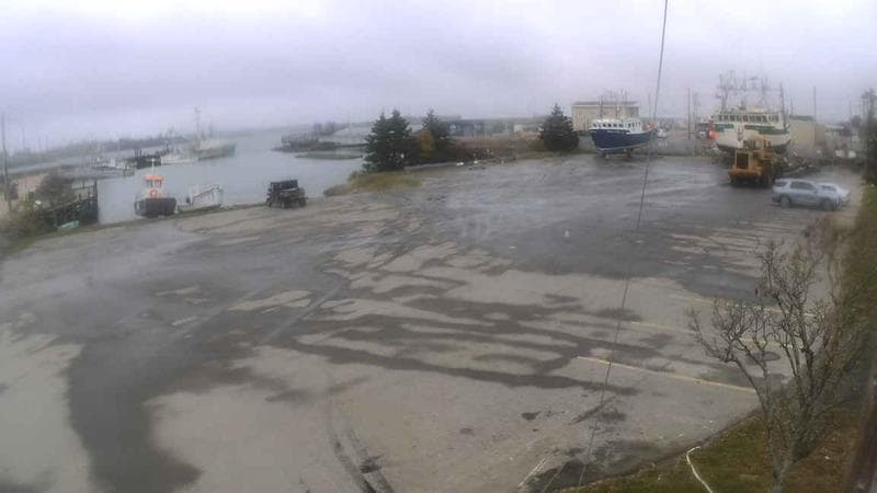 Lobster Rock Wharf Parking