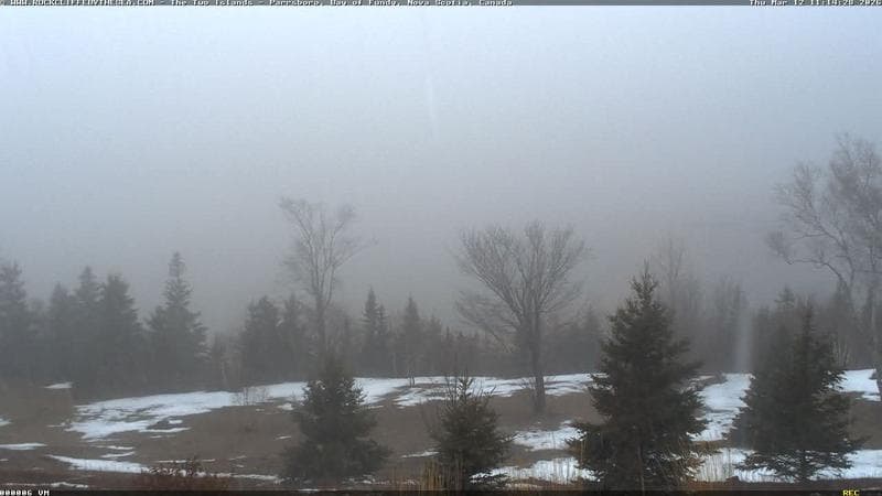 Rockcliffe by the Sea