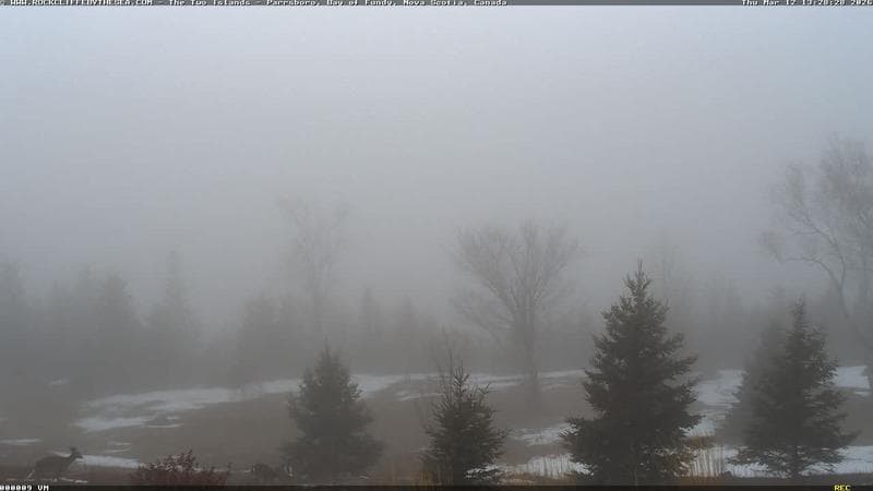 Rockcliffe by the Sea