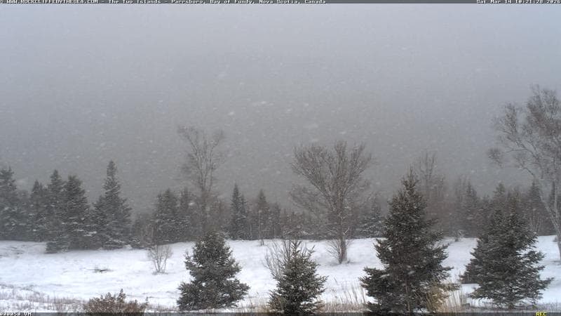 Rockcliffe by the Sea