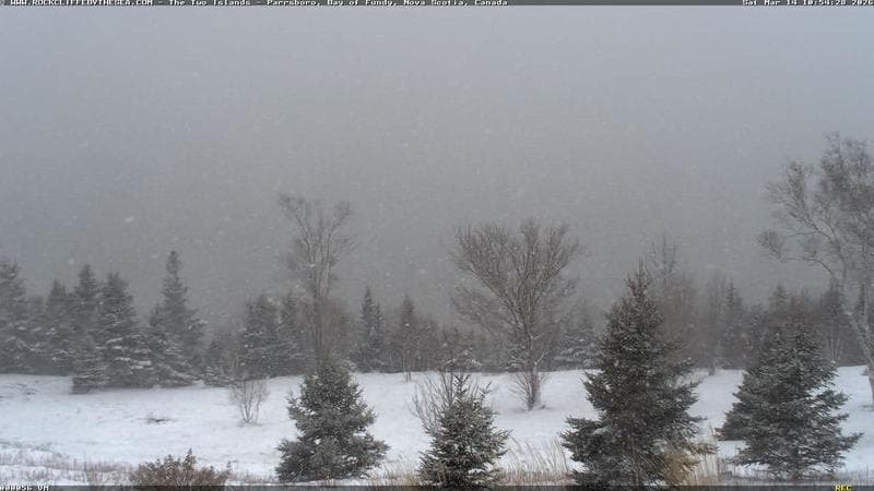 Rockcliffe by the Sea