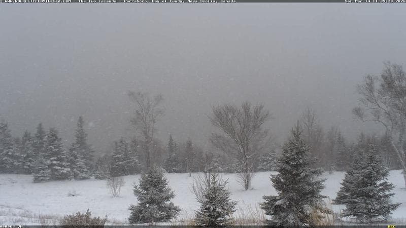 Rockcliffe by the Sea