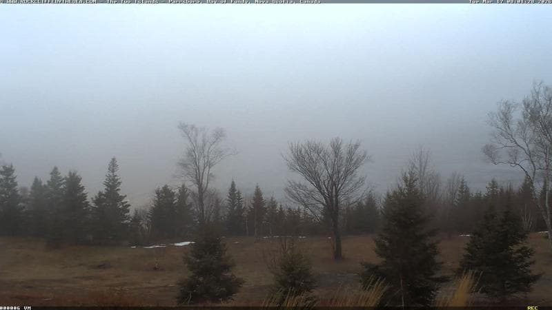 Rockcliffe by the Sea