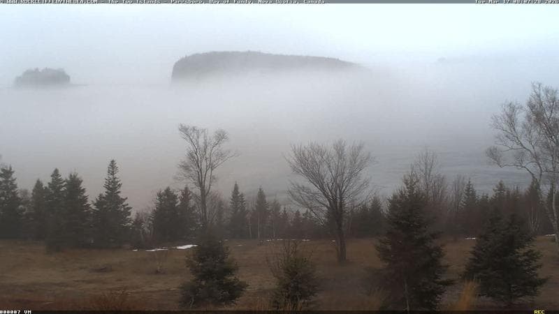 Rockcliffe by the Sea