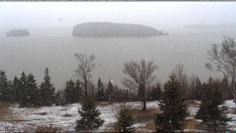 Rockcliffe by the Sea