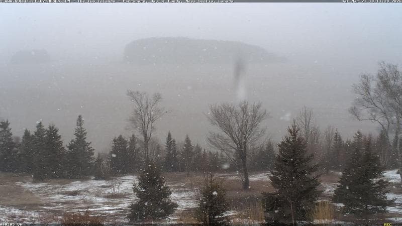 Rockcliffe by the Sea