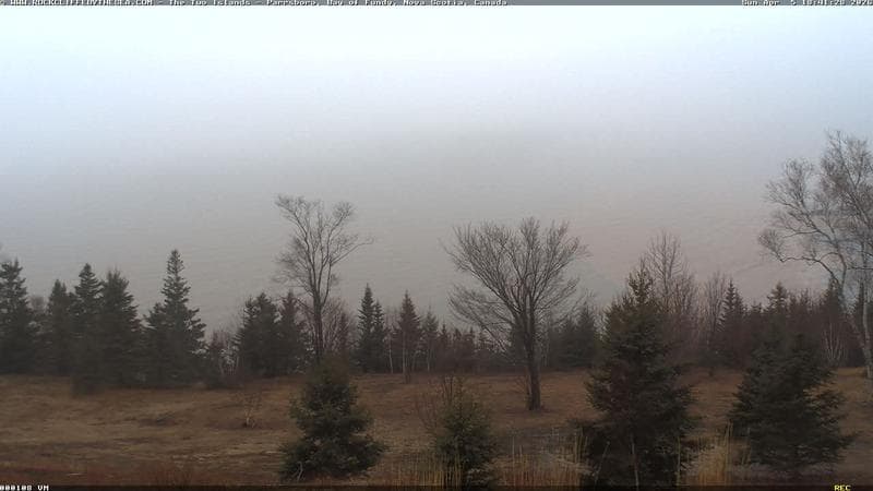 Rockcliffe by the Sea