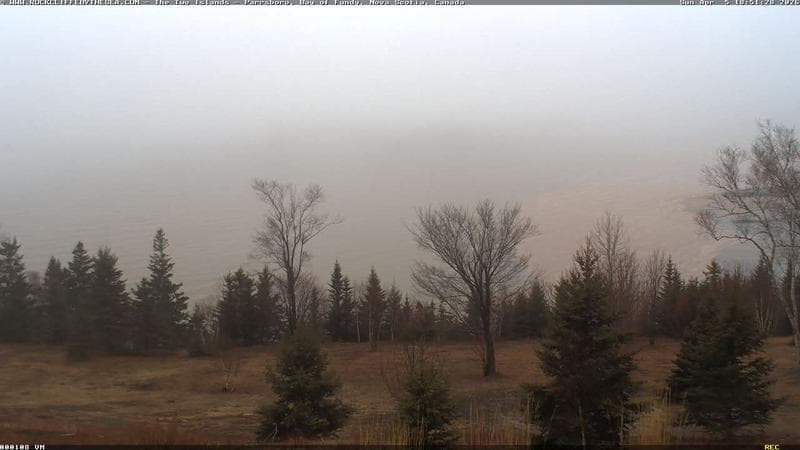 Rockcliffe by the Sea