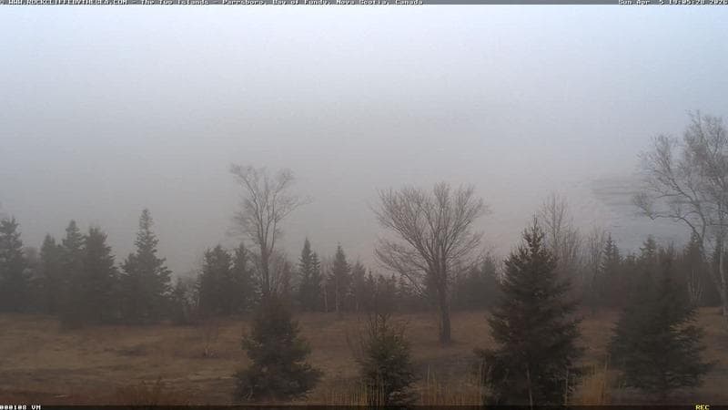 Rockcliffe by the Sea