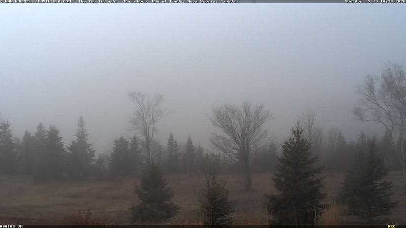 Rockcliffe by the Sea