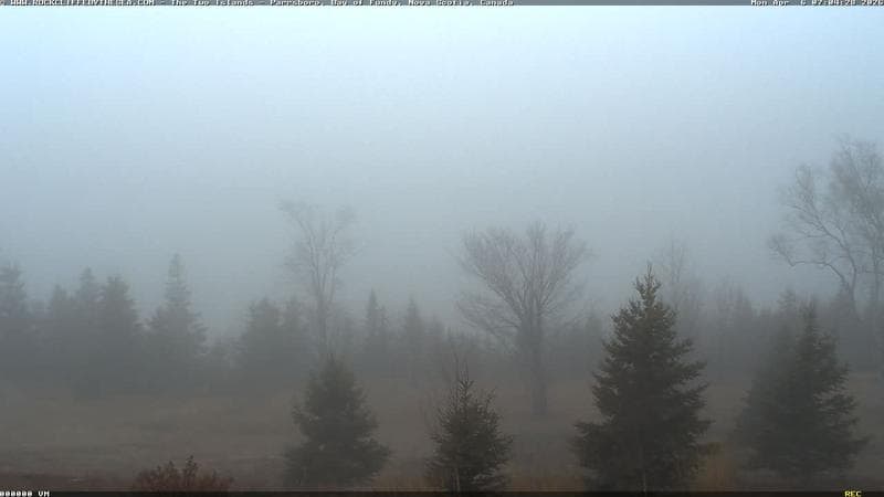 Rockcliffe by the Sea