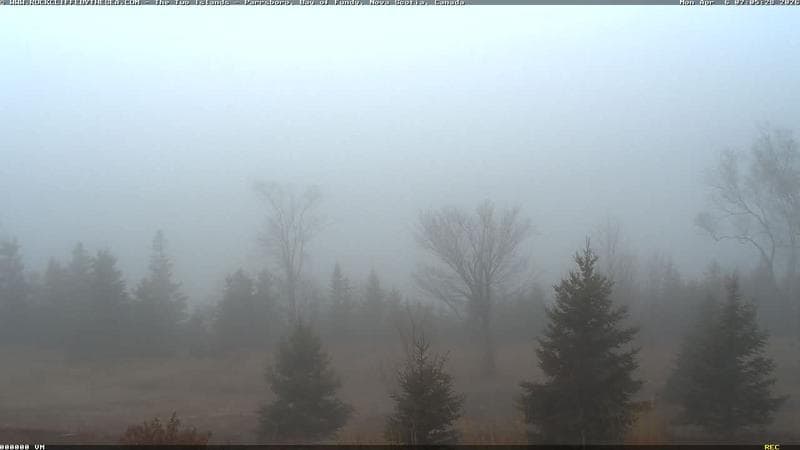 Rockcliffe by the Sea