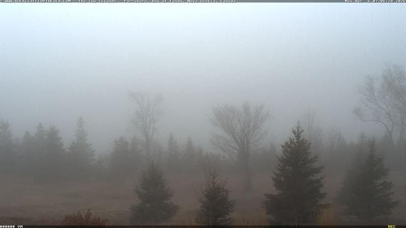 Rockcliffe by the Sea