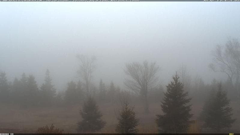 Rockcliffe by the Sea