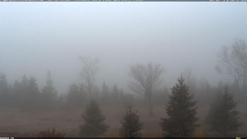 Rockcliffe by the Sea