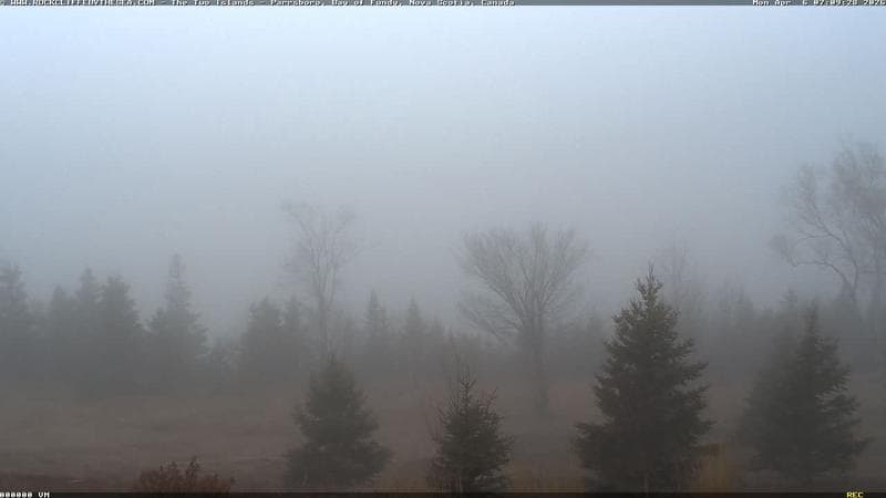 Rockcliffe by the Sea