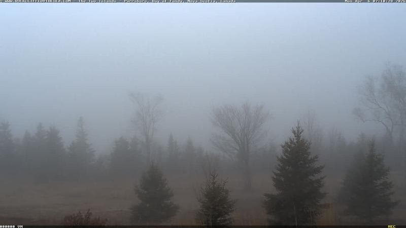 Rockcliffe by the Sea