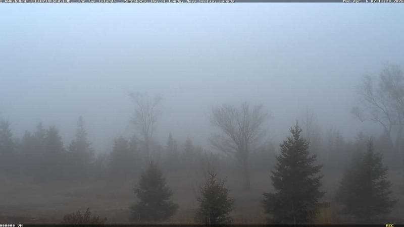 Rockcliffe by the Sea