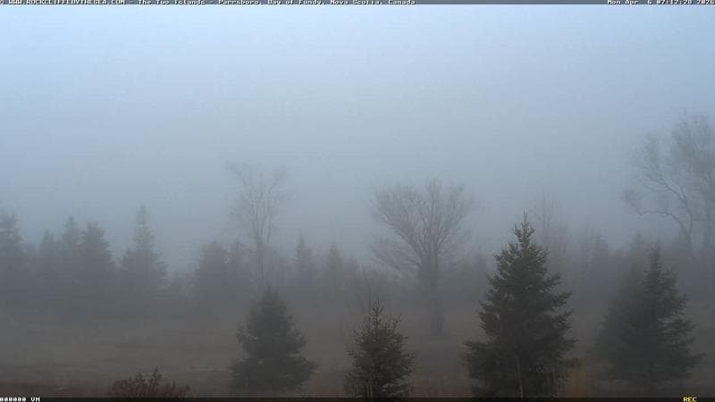 Rockcliffe by the Sea