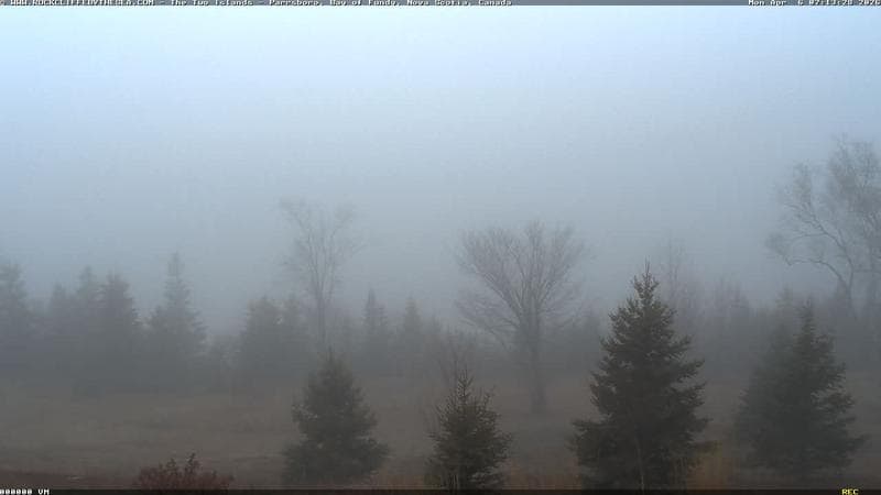 Rockcliffe by the Sea