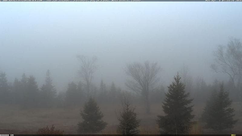 Rockcliffe by the Sea