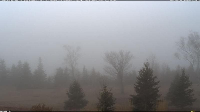 Rockcliffe by the Sea