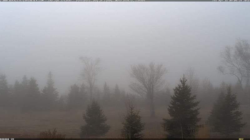 Rockcliffe by the Sea