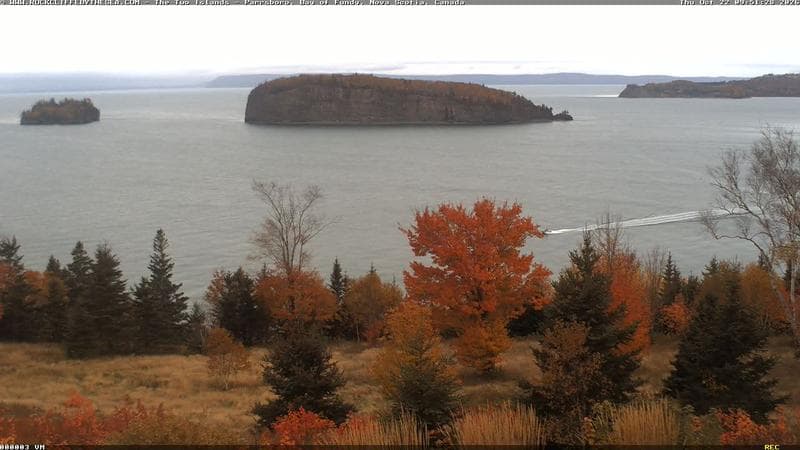 Rockcliffe by the Sea