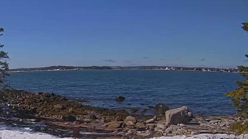 Sambro Harbour