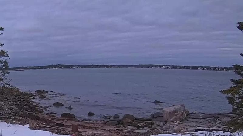 Sambro Harbour