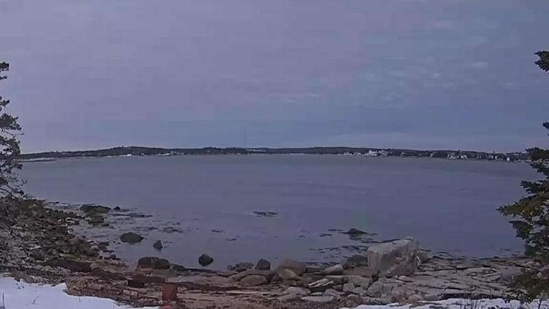 Sambro Harbour