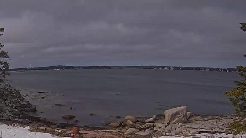 Sambro Harbour
