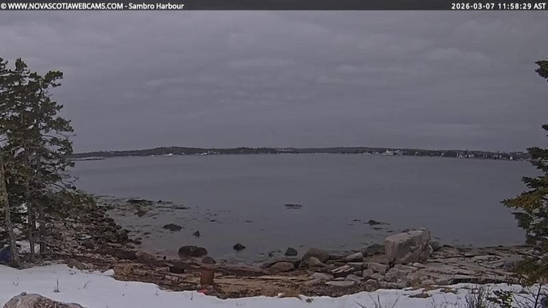 Sambro Harbour