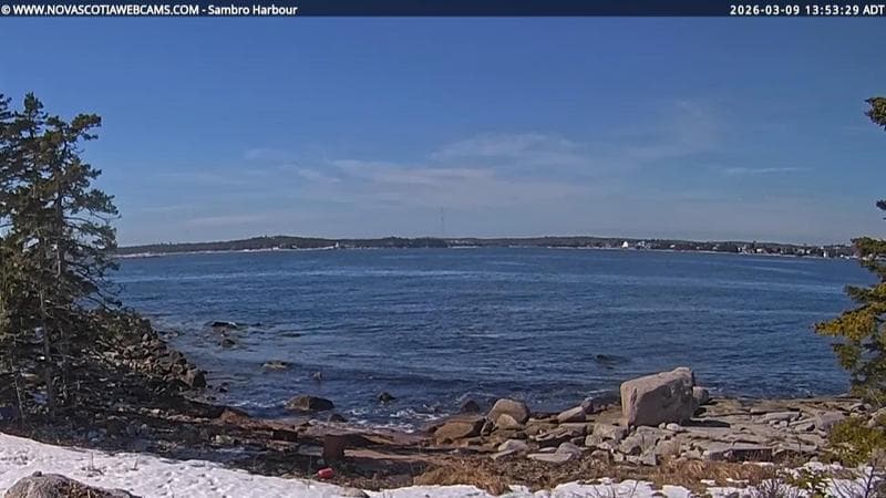 Sambro Harbour