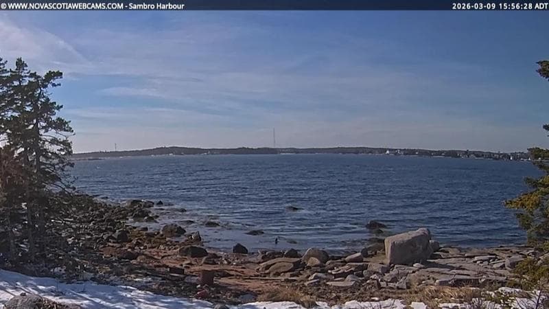 Sambro Harbour