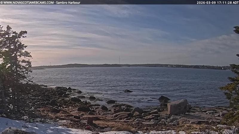 Sambro Harbour