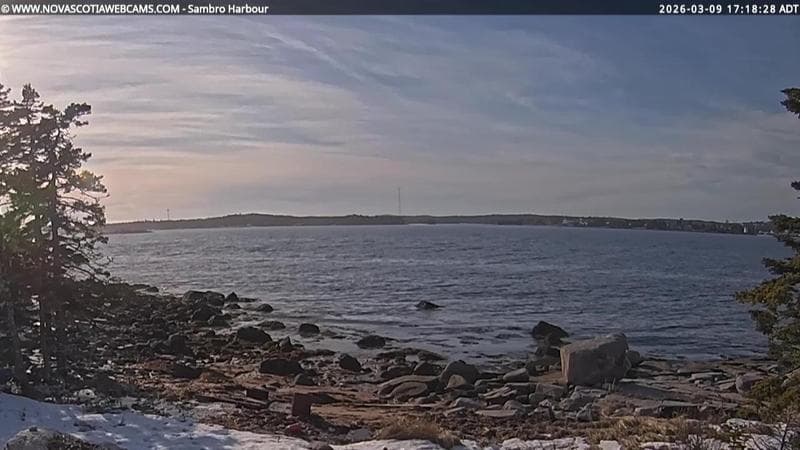 Sambro Harbour