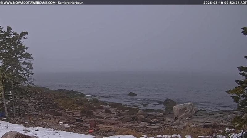 Sambro Harbour