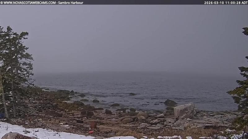 Sambro Harbour