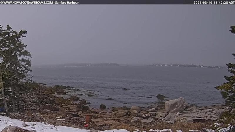 Sambro Harbour