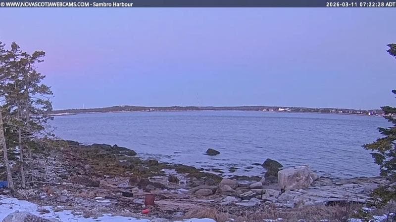 Sambro Harbour