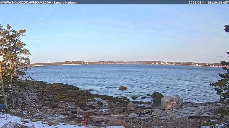 Sambro Harbour