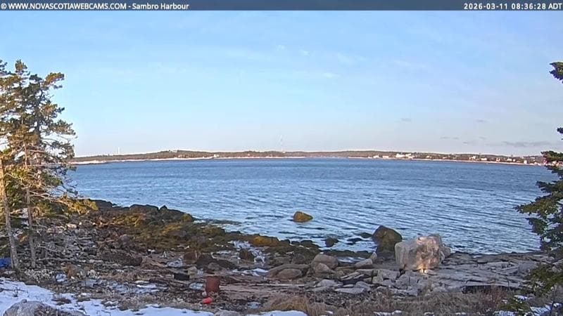 Sambro Harbour